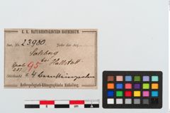 Etiketten zu Perlenkette (NHMW-PRAE-023980)